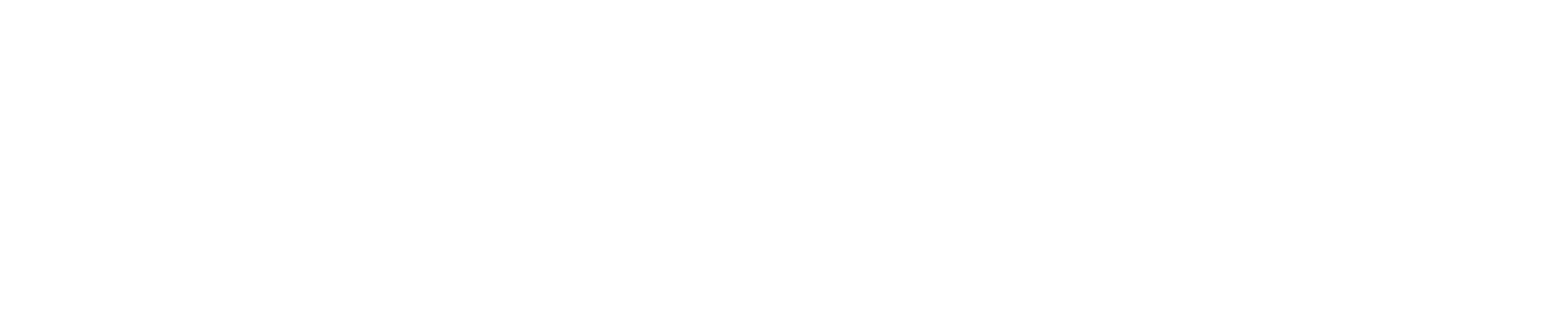 Havn logo